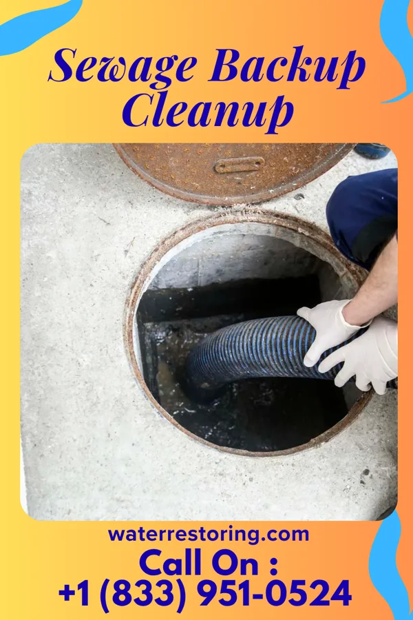 Sewage Backup Cleanup in Hobart, WI