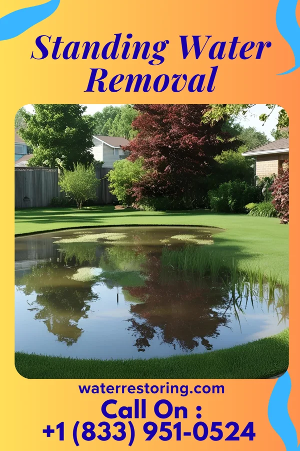 Standing Water Removal in Hobart, WI